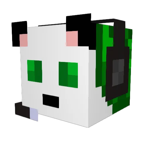 CamTEG Minecraft avatar head, 3D render