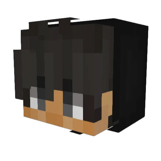 CamWorthy Minecraft avatar head, 3D render