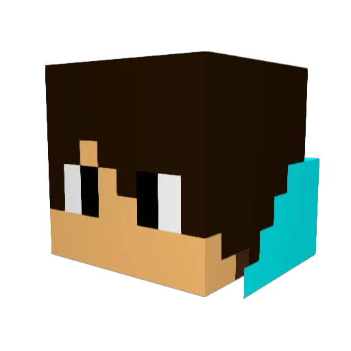 CamXL Minecraft avatar head, 3D render