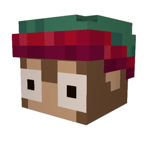 CamXS_ Minecraft avatar head, 3D render