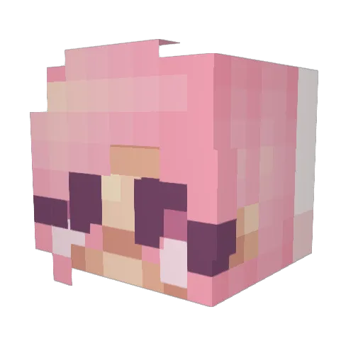Cam_1234 Minecraft avatar head, 3D render