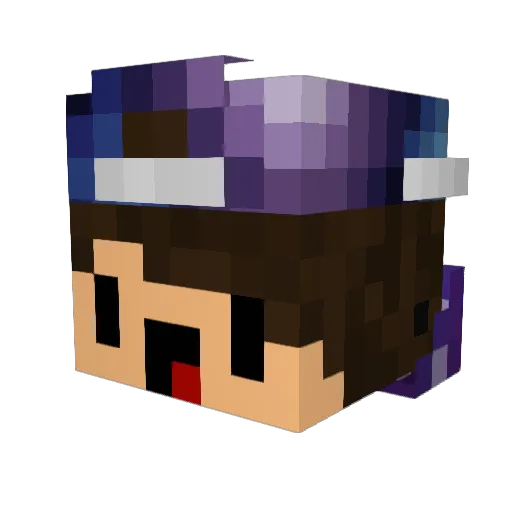 Cam_PlayzYT Minecraft avatar head, 3D render