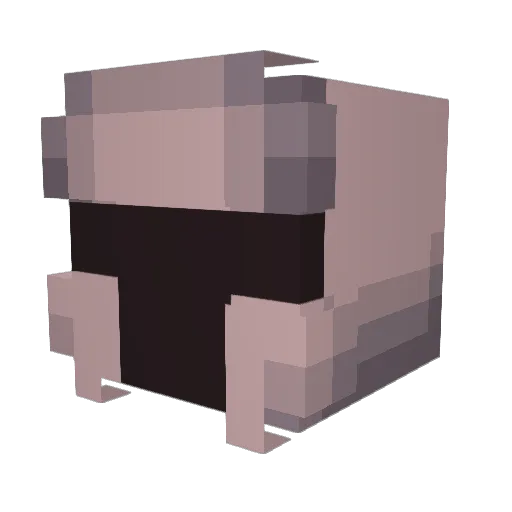 Camachitos Minecraft avatar head, 3D render