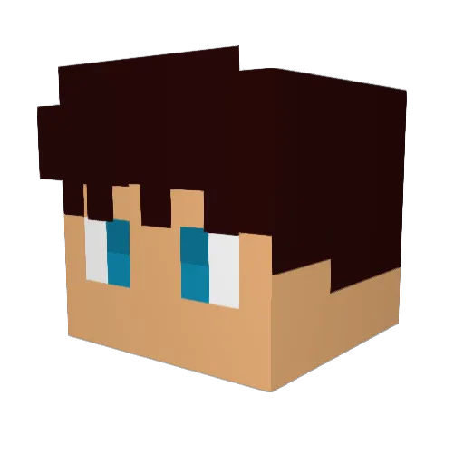Camanafou Minecraft avatar head, 3D render
