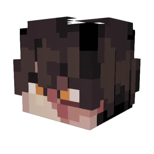 CamandEli Minecraft avatar head, 3D render