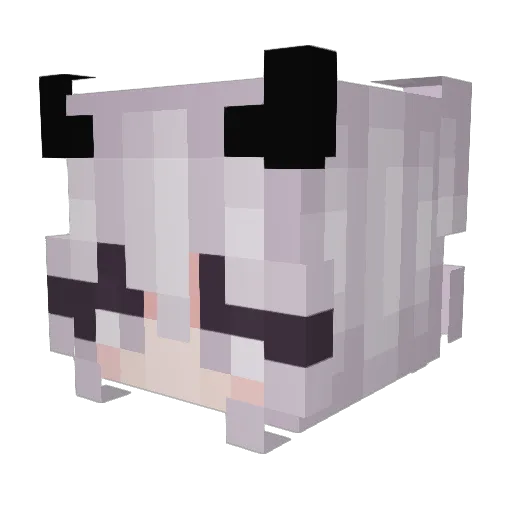 Camariumm Minecraft avatar head, 3D render