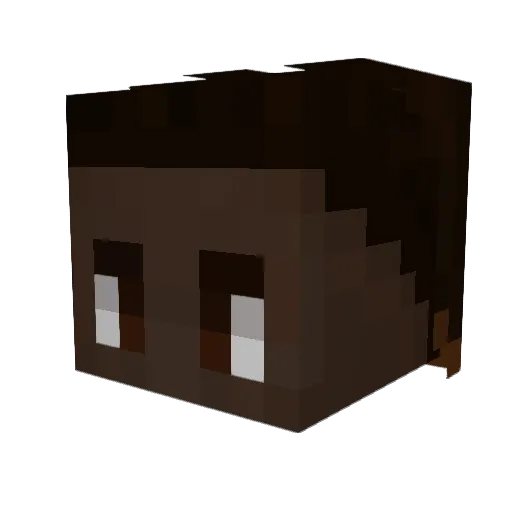 Camavigga Minecraft avatar head, 3D render