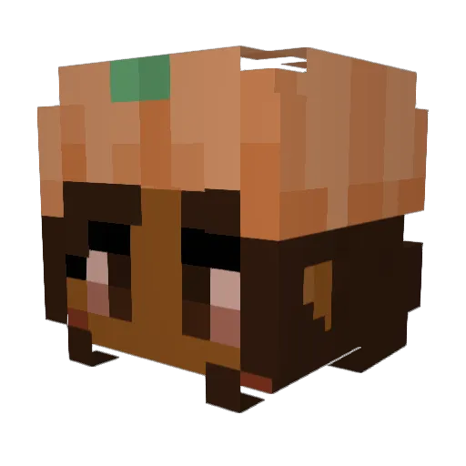 Camay_ Minecraft avatar head, 3D render