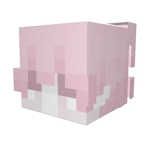 Camberwear Minecraft avatar head, 3D render