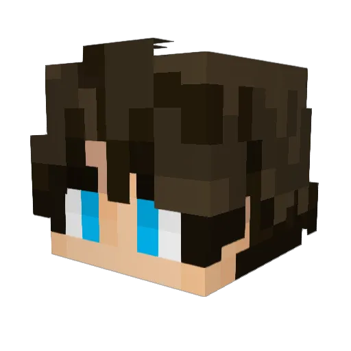 Camcoolkid125 Minecraft avatar head, 3D render
