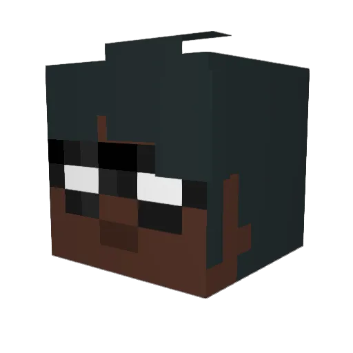 CamdMan14 Minecraft avatar head, 3D render