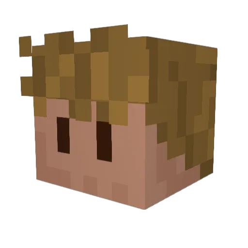 Camdeeno23 Minecraft avatar head, 3D render