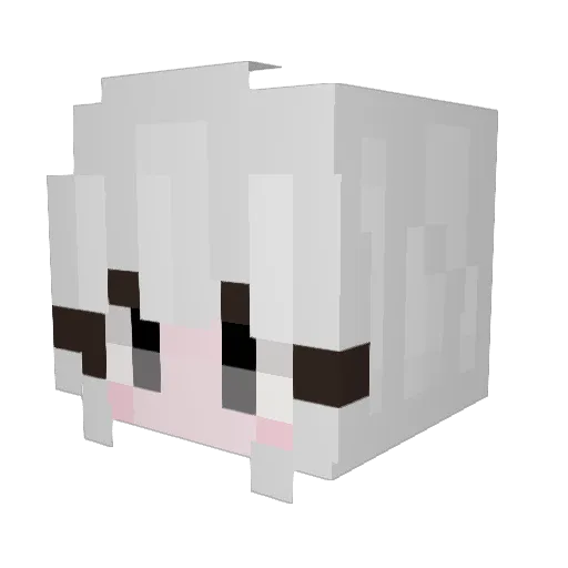 CameLila_ Minecraft avatar head, 3D render