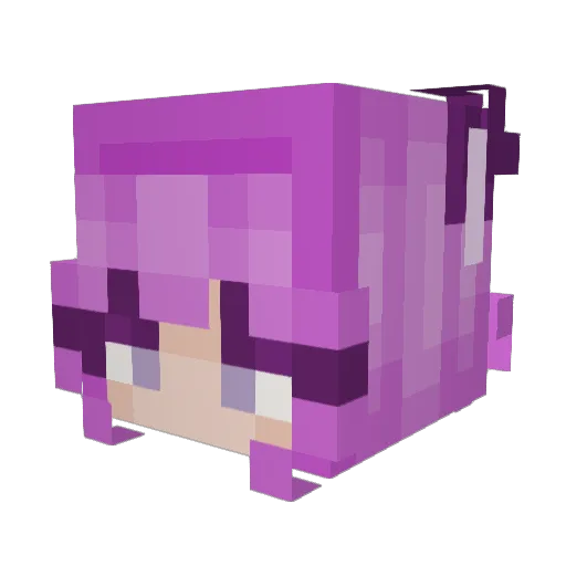 CamelCarrier Minecraft avatar head, 3D render
