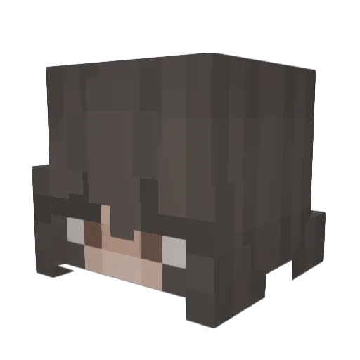 CamelCase03 Minecraft avatar head, 3D render