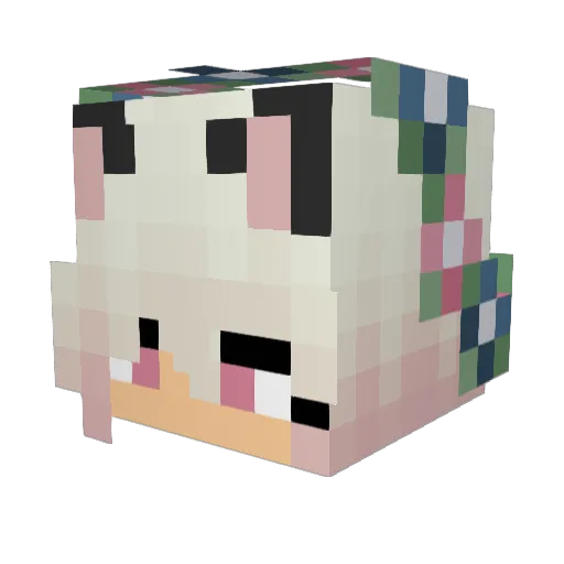 CamelChaser Minecraft avatar head, 3D render