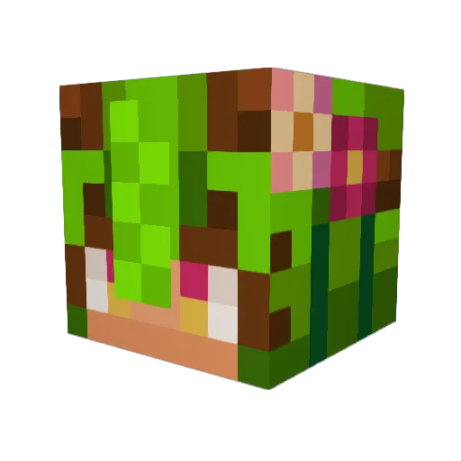CamelCraft2009 Minecraft avatar head, 3D render