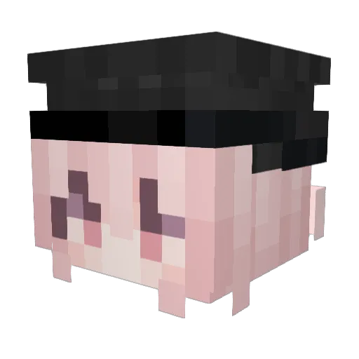CamelCrushes Minecraft avatar head, 3D render