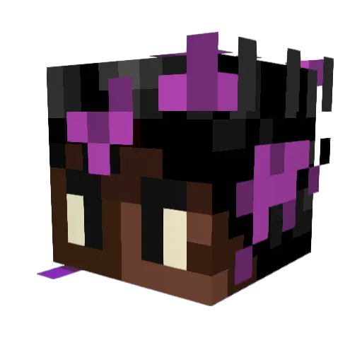 CameleonOncle94 Minecraft avatar head, 3D render
