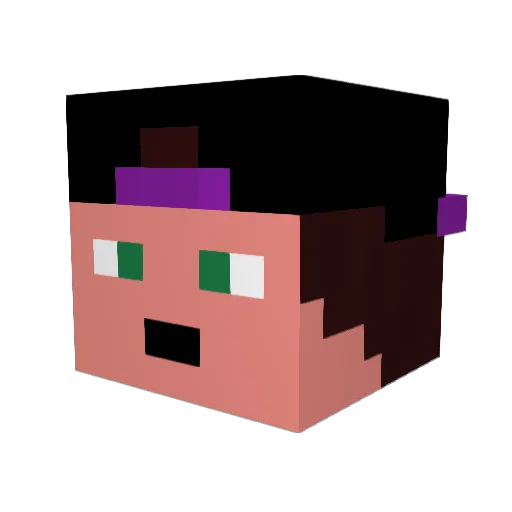 Camelot888 Minecraft avatar head, 3D render
