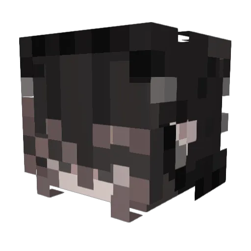 Camended Minecraft avatar head, 3D render