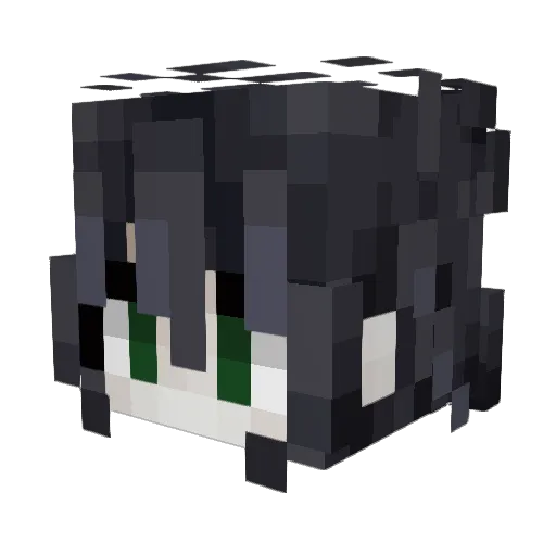 CameosCameo Minecraft avatar head, 3D render