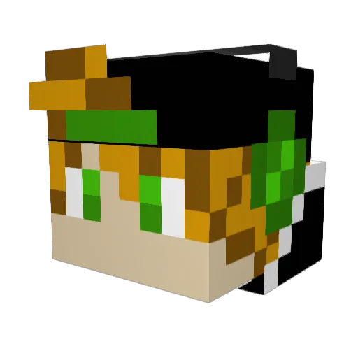 Camera430 Minecraft avatar head, 3D render