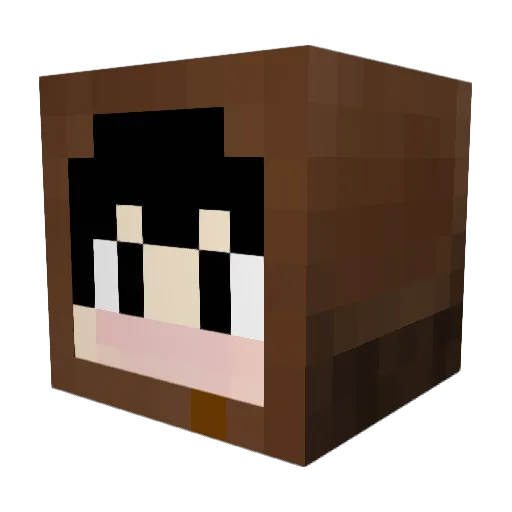 Cameralicious Minecraft avatar head, 3D render