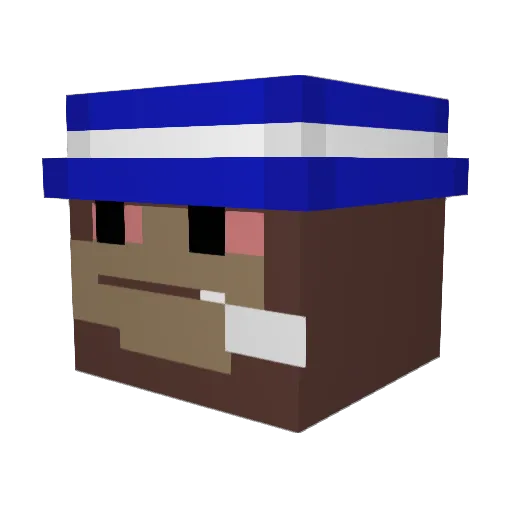 Cameran209 Minecraft avatar head, 3D render