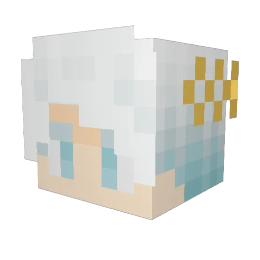 Cameron101304 Minecraft avatar head, 3D render