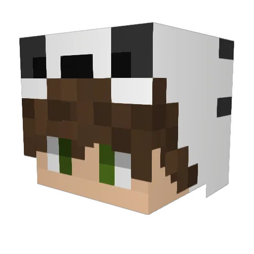 Cameron226 Minecraft avatar head, 3D render