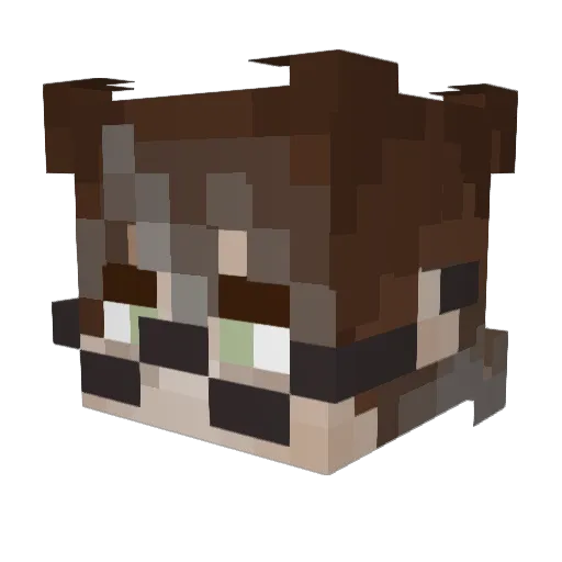 Cameron808 Minecraft avatar head, 3D render
