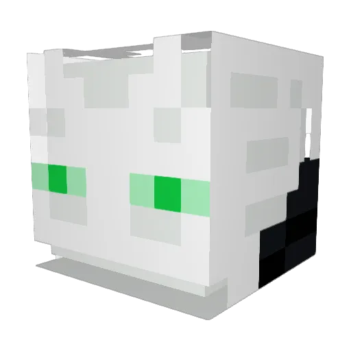 CameronSHADY Minecraft avatar head, 3D render