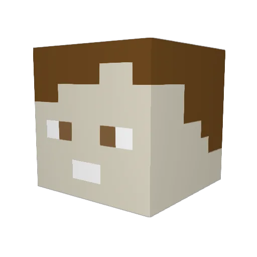 Cameron_Taylor Minecraft avatar head, 3D render