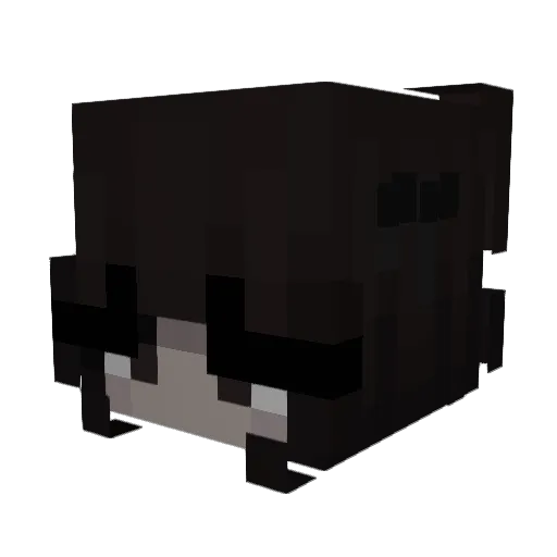 Cameruh Minecraft avatar head, 3D render