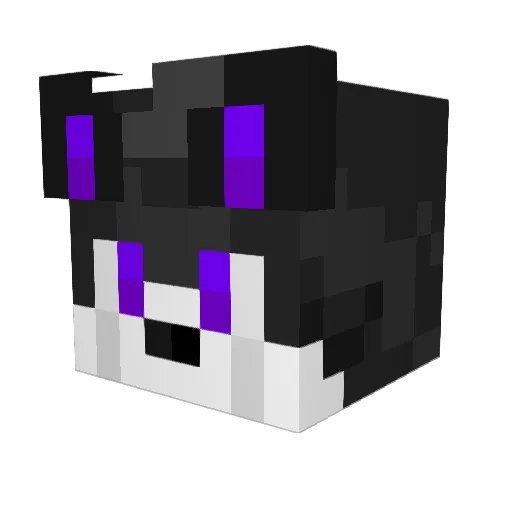 Camgrin Minecraft avatar head, 3D render