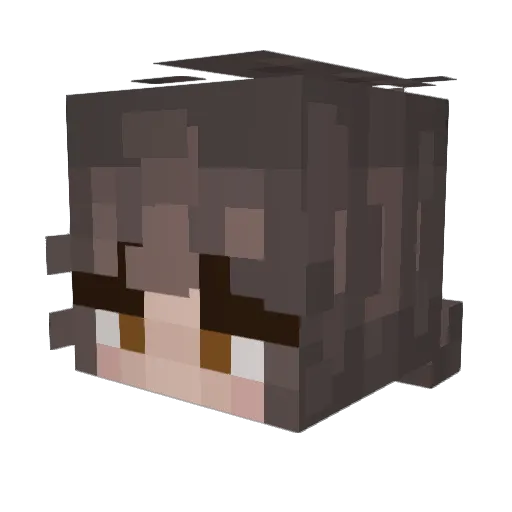 Cami91246 Minecraft avatar head, 3D render