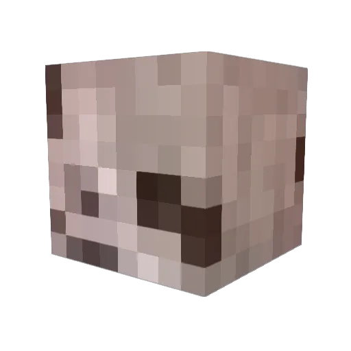CamiChan_2009 Minecraft avatar head, 3D render