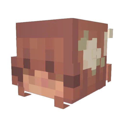 Camibear123 Minecraft avatar head, 3D render