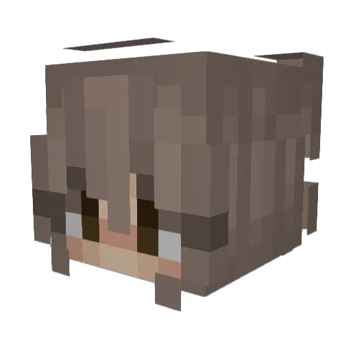 Camii04 Minecraft avatar head, 3D render