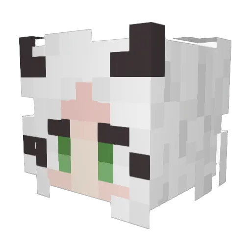Camii_05 Minecraft avatar head, 3D render