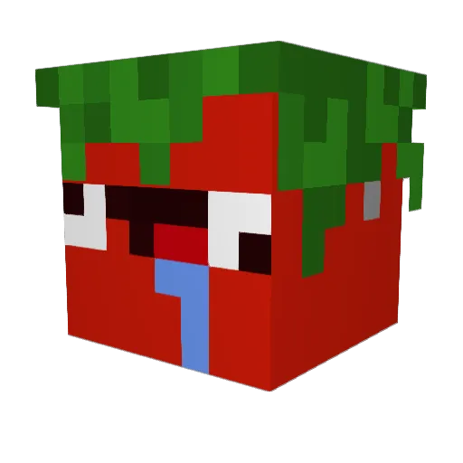 Camikaze90 Minecraft avatar head, 3D render