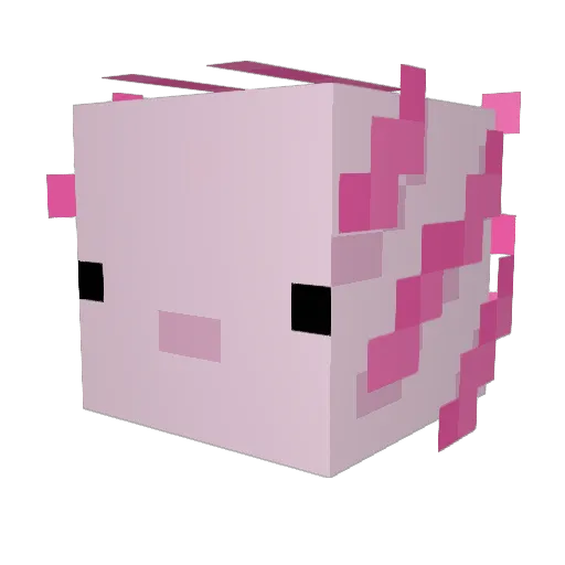 Camilardon Minecraft avatar head, 3D render