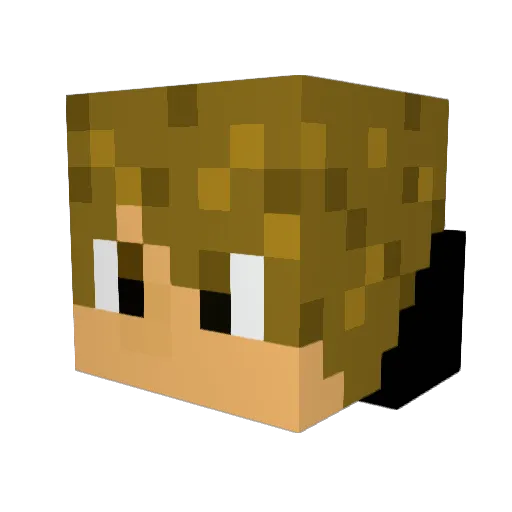 Camilito30 Minecraft avatar head, 3D render