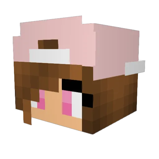 Camille1014 Minecraft avatar head, 3D render