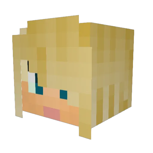 Camina89 Minecraft avatar head, 3D render