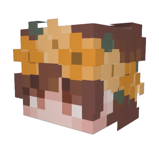 Camma_Jamma Minecraft avatar head, 3D render