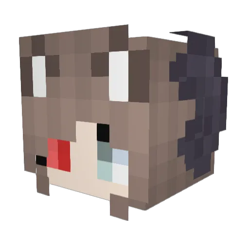 CammiPlayzz Minecraft avatar head, 3D render