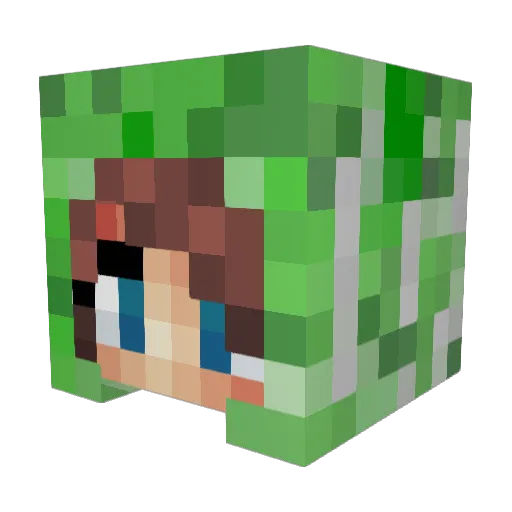 Cammmi06 Minecraft avatar head, 3D render