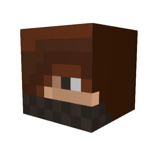 Camn98 Minecraft avatar head, 3D render